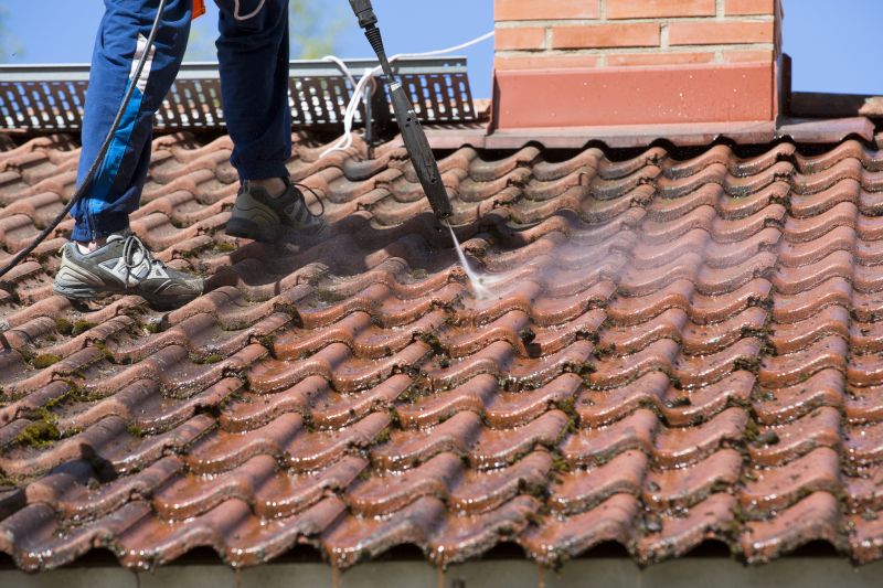 Roof Surface Cleaning