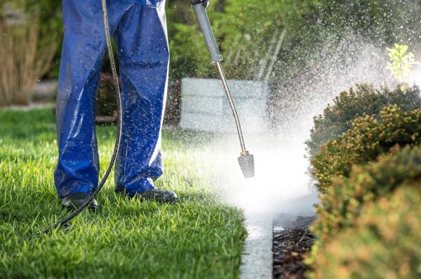 Cost of Curb Cleaning in Goshen