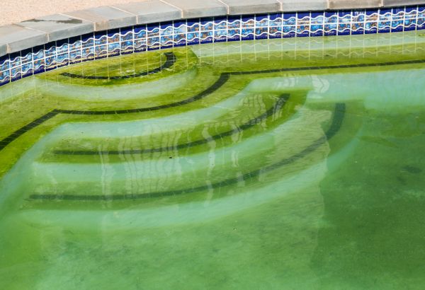 Pool Deck Algae Removal in Goshen