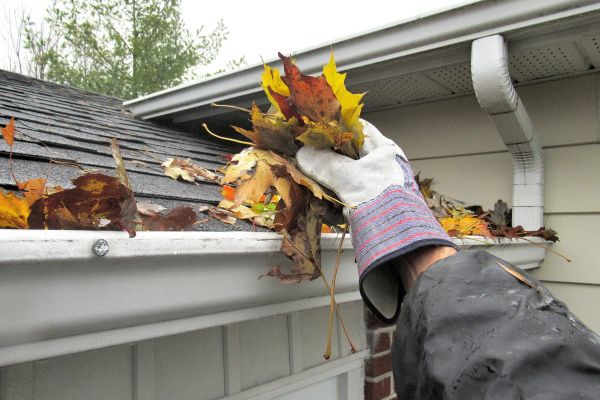 Cost of Eaves Cleaning in Goshen